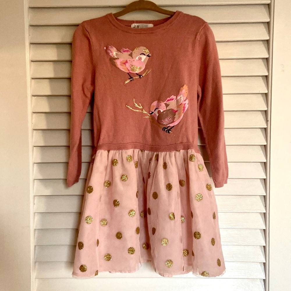 EUC H&M Toddler Girls Dusty Rose Bird Printed Dress Lined Mesh Skirt size 2-4
